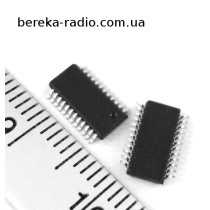 BA6975FS /SSOP-24