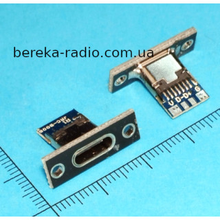Гніздо USB TYPE-C з чорним фланцем для кріплення на панель та двома виводами V, G