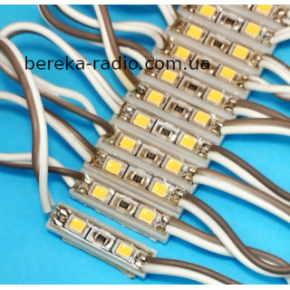 Світлодіодний модуль білий теплий 3500K 2 LED SMD2835 20-30 lm, 12V/20mA, IP66