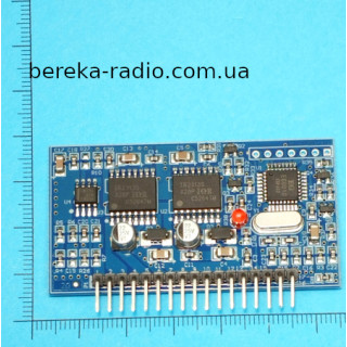 EGS002B драйвер інвертора чистої синусоїди на EG8010