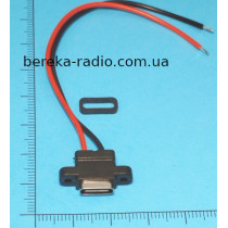 Гніздо USB Type-C, 2 pin, з проводом 10 см, для монтажу на корпус
