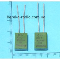 К71-7 3000 pF +- 2% 250V ~5~