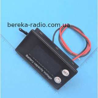 Індикатор рівня заряду акумулятора 8-100V програмований 6133A