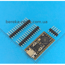 Raspbery RP2040 ProMicro 4 mB, Type-C