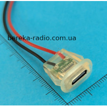 Гніздо USB Type-C, 2 pin, з проводом 10 см, для монтажу на корпус,  прозоре