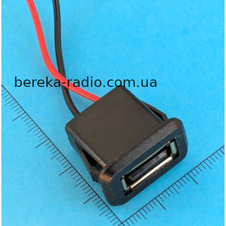 Гніздо USB чорне з застібками для встановлення в виріз на панелі з проводами